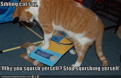 LOLCats, Best of the week!