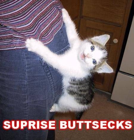 LOLCats Surprise Buttsecks! :)