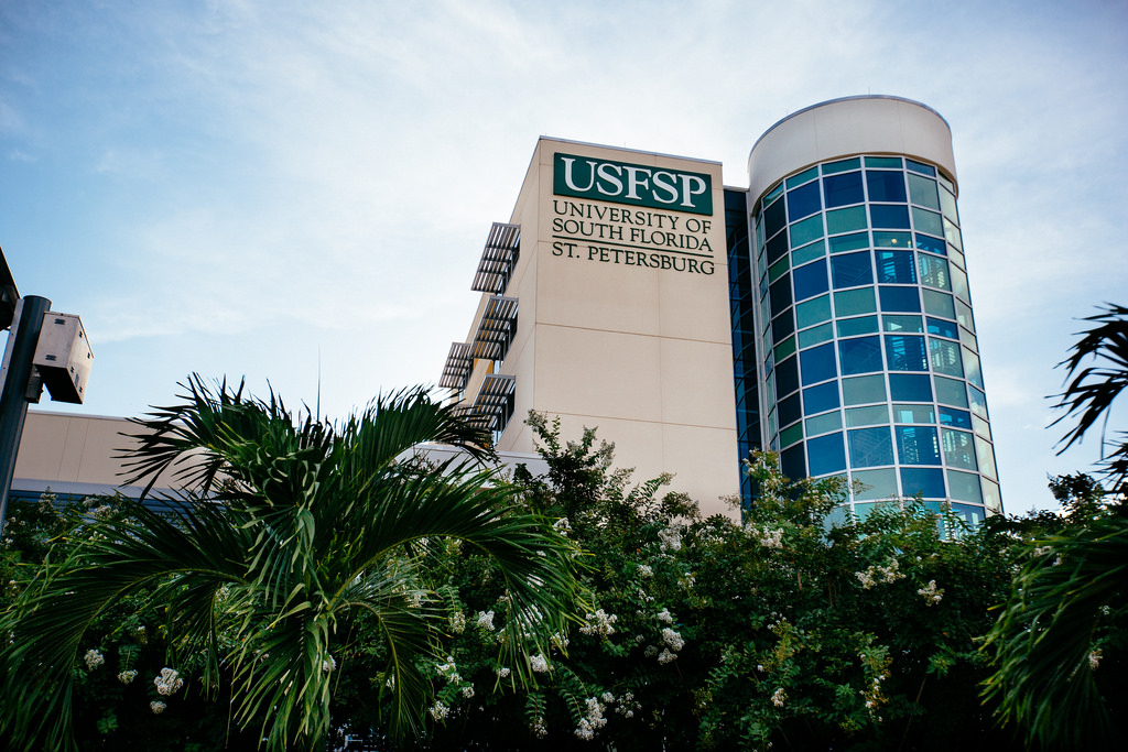 University South Florida St Petersburg